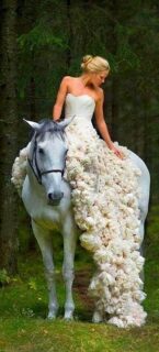 Bride on a horse