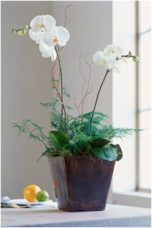 Wedding Flowers Bridal Bouquet|||