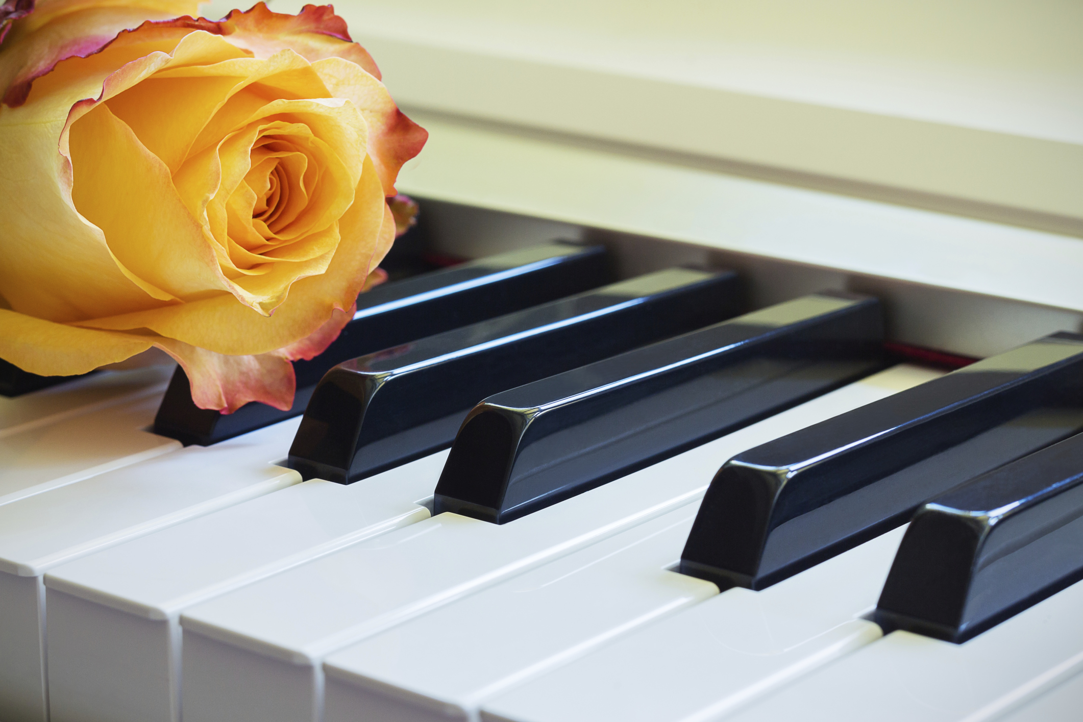 The dos and don’ts of wedding reception music