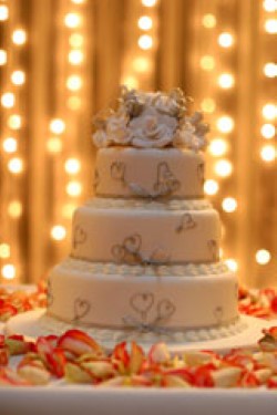 My big fat Indian engagement party