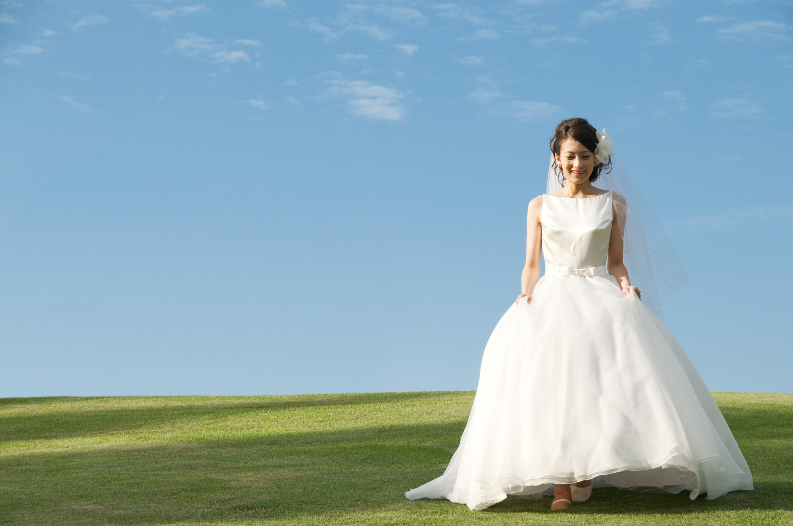 Glossary of wedding dress skirt styles