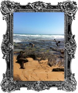 ||||||a man is proposing to his girlfriend at sunset|proposal|12 Apostles