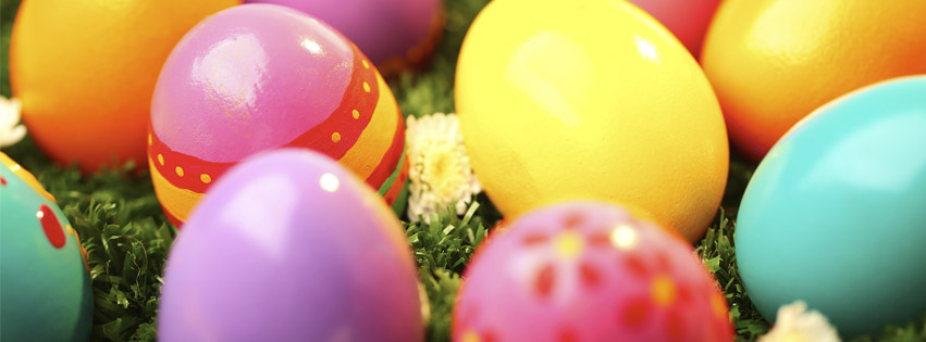 Competition: Guess the number of eggs to win