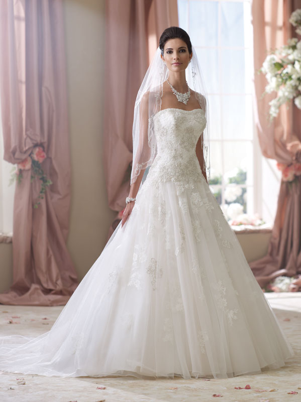 Sophia Tolli and David Tutera's 2014 gown collections