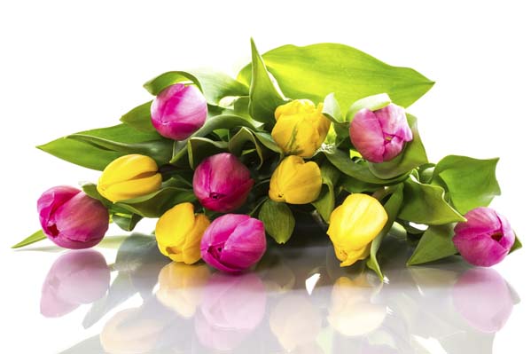 Flower talk: Your guide to wedding flower terms