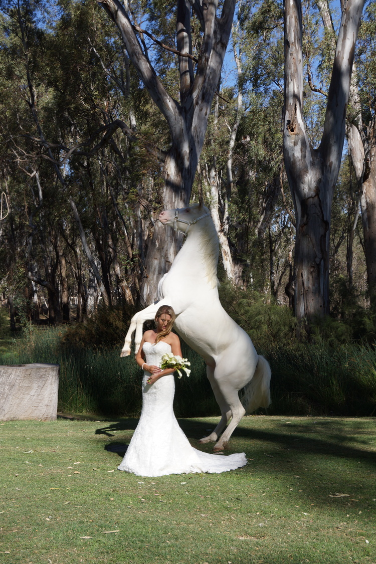 Horsing around: Adding a little equine fun to your wedding photos