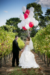 Vue on Halcyon|Vue on Halcyon|Vue on Halcyon|Vue on Halcyon|Vue on Halcyon|Vue on Halcyon|