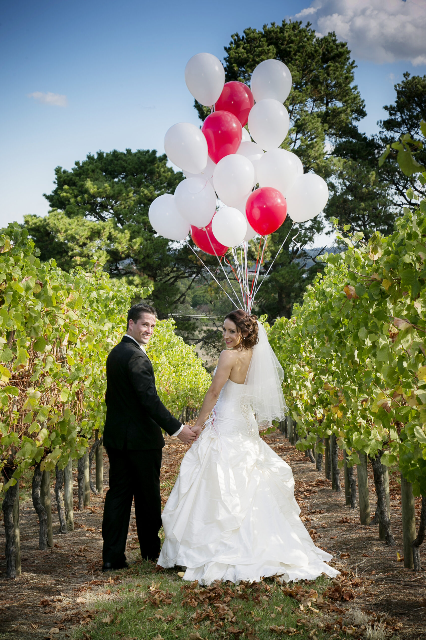 WWW: Wonderful winery weddings
