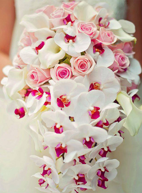 Orchids are the right choise!