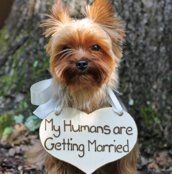 15 fun ways to announce your engagement