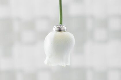 wedding bands photography|