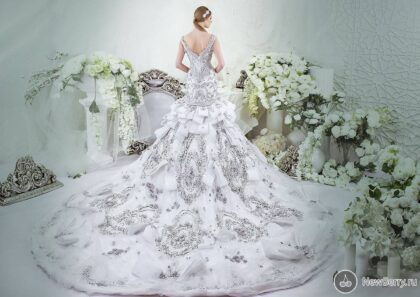 Dar Sara dazzling gown||