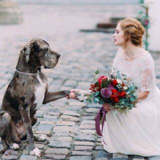 Feature||Sarah and Simon's English Wedding with a Scottish twist|wedding animal match||Bride and Dog|Libby and Rob's Winter Wedding|