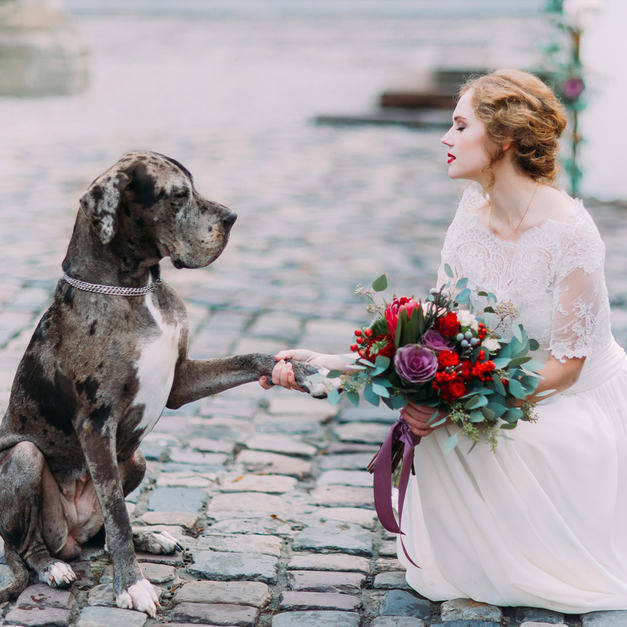 Including pets in your wedding day