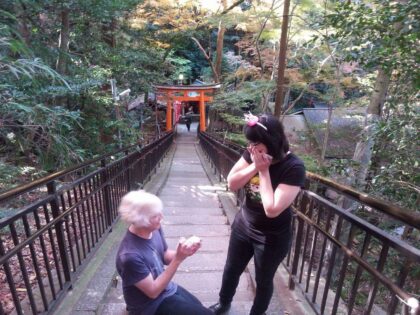 pokemon|pokemon||pokemon