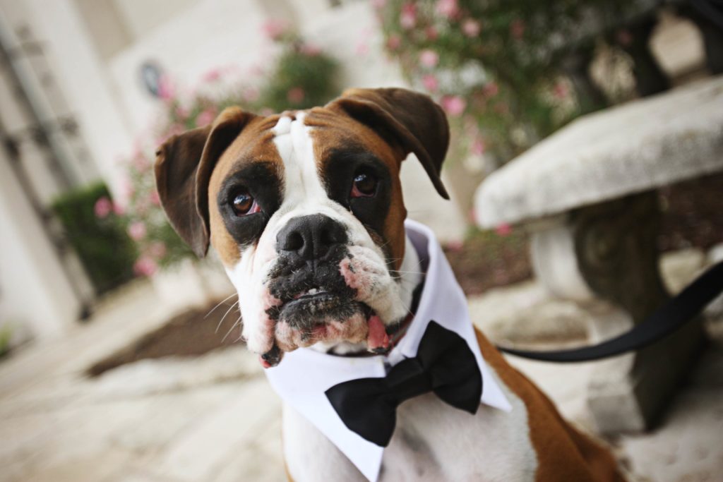 8 quirky wedding themes that actually happened