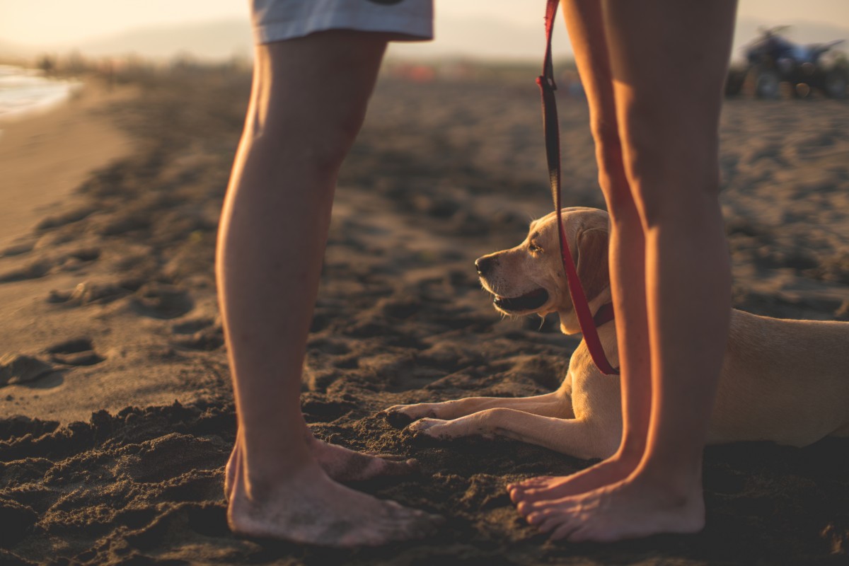 9 signs you and your S.O are ready for marriage
